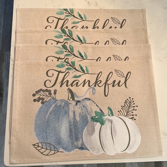 NWT placemats - Picture 1 of 4